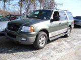 2003 Estate Green Metallic Ford Expedition XLT 4x4 #38077335