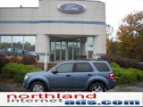2011 Steel Blue Metallic Ford Escape XLT 4WD #38076101