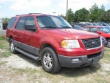 2003 Laser Red Tinted Metallic Ford Expedition XLT #38077363