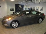 2011 Harbor Gray Metallic Hyundai Sonata Limited #38169529