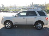 2008 Light Sage Metallic Ford Escape Limited 4WD #38229763