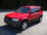 2002 Bright Red Ford Escape XLT V6 4WD #38270694