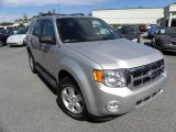 2009 Brilliant Silver Metallic Ford Escape XLT 4WD #38276773