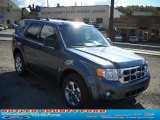 2011 Steel Blue Metallic Ford Escape XLT V6 4WD #38276635