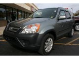 2006 Pewter Pearl Honda CR-V EX 4WD #38277200