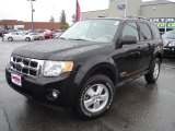 2008 Black Ford Escape XLT 4WD #38341850