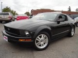 2008 Black Ford Mustang V6 Premium Coupe #38341854
