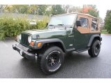 1998 Moss Green Pearl Jeep Wrangler SE 4x4 #38342441
