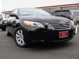 2008 Black Toyota Camry Hybrid #38342860