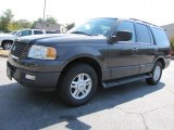 Dark Stone Metallic Ford Expedition in 2006
