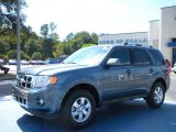 2011 Steel Blue Metallic Ford Escape Limited #38412775
