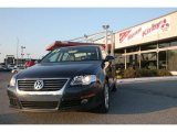 2007 Blue Graphite Metallic Volkswagen Passat 2.0T Wolfsburg Edition Sedan #38413140