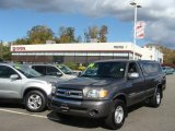 Phantom Gray Pearl Toyota Tundra in 2004