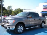 2010 Sterling Grey Metallic Ford F150 XLT SuperCrew #38474550