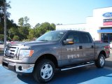 2010 Sterling Grey Metallic Ford F150 XLT SuperCrew #38474557