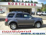 2010 Sterling Grey Metallic Ford Escape Limited 4WD #38474647