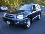 2005 Hyundai Santa Fe GLS Front 3/4 View