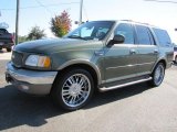 2001 Ford Expedition Estate Green Metallic