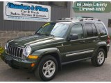 2006 Jeep Green Metallic Jeep Liberty Limited 4x4 #38549068