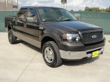 2006 Dark Stone Metallic Ford F150 XLT SuperCrew 4x4 #38549078