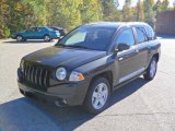 Dark Charcoal Pearl Jeep Compass in 2010