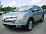 Pewter Metallic Ford Edge in 2007