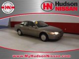 1999 Sable Pearl Toyota Camry LE #38687451