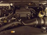 2005 Ford Expedition Eddie Bauer 5.4 Liter SOHC 24V VVT Triton V8 Engine