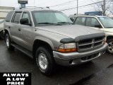 1999 Light Driftwood Satin Glow Dodge Durango SLT 4x4 #38689508