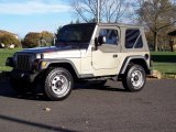 2004 Light Khaki Metallic Jeep Wrangler SE 4x4 #38794964