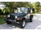 2002 Shale Green Metallic Jeep Wrangler X 4x4 #38794803