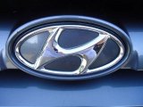 2005 Hyundai Santa Fe LX 3.5 Marks and Logos