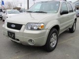 2005 Gold Ash Metallic Ford Escape Limited 4WD #38918221