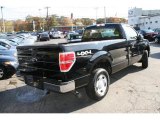 2009 Ford F150 XL Regular Cab 4x4 Exterior