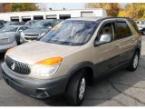 2002 Light Driftwood Buick Rendezvous CX #39006702