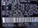 2004 RAV4 Color Code for Black - Color Code: 202