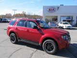 2009 Sangria Red Metallic Ford Escape XLT Sport 4WD #39059785