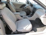 2002 Ford Mustang V6 Convertible Medium Graphite Interior
