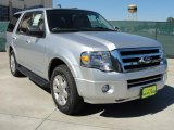 2010 Ingot Silver Metallic Ford Expedition XLT #39059619
