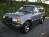 1995 Nightshadow Pearl Toyota Land Cruiser  #39059721