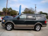 Aspen Green Metallic Ford Expedition in 2004