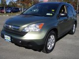 2008 Green Tea Metallic Honda CR-V EX 4WD #39148145