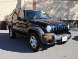 2003 Black Clearcoat Jeep Liberty Sport #39149421