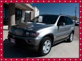 2004 Sterling Grey Metallic BMW X5 4.4i #39148728