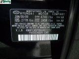 2010 Azera Color Code for Black Onyx Pearl - Color Code: AA