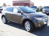 2011 Ford Edge Earth Metallic