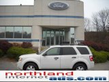 2010 White Suede Ford Escape XLT 4WD #39258322