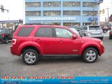 2008 Ford Escape Limited 4WD