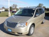 2010 White Gold Chrysler Town & Country Touring #39258573