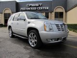 2010 Silver Lining Cadillac Escalade Luxury AWD #39258870